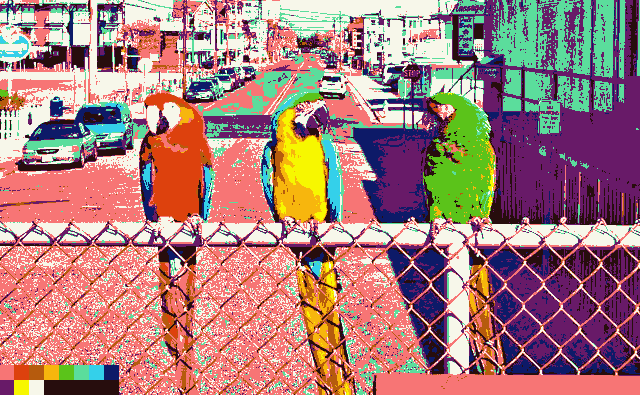 a photo of three parrots in a limited colour palette