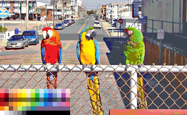 a photo of three parrots in a limited colour palette