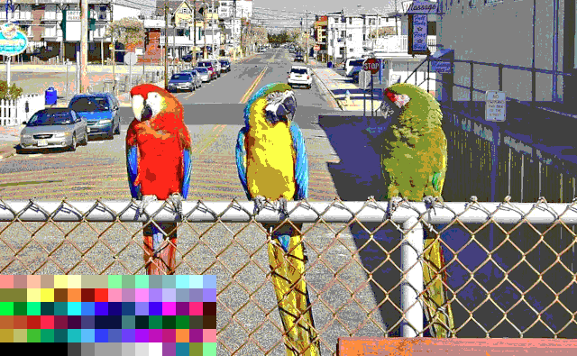 a photo of three parrots in a limited colour palette